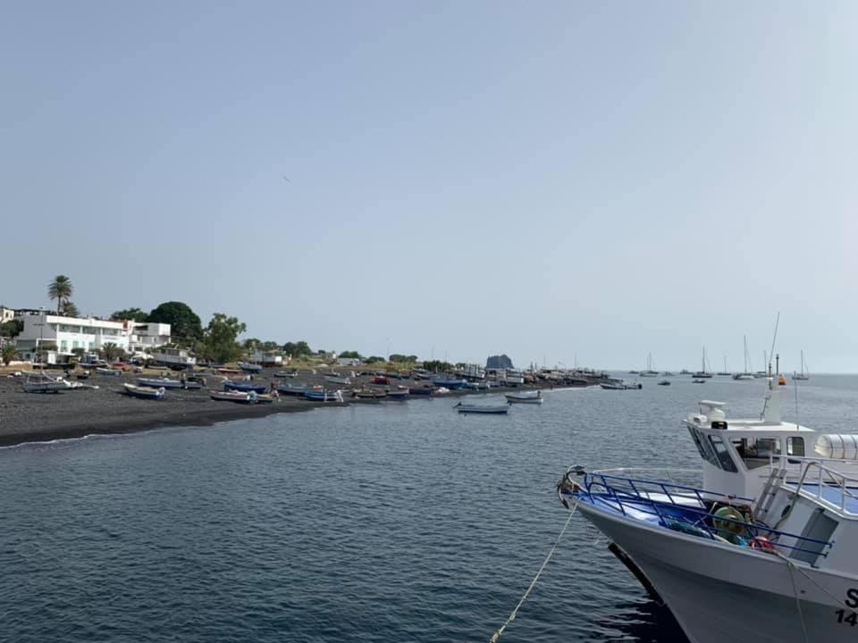 B&B Calabria Mare Falerna Bagian luar foto