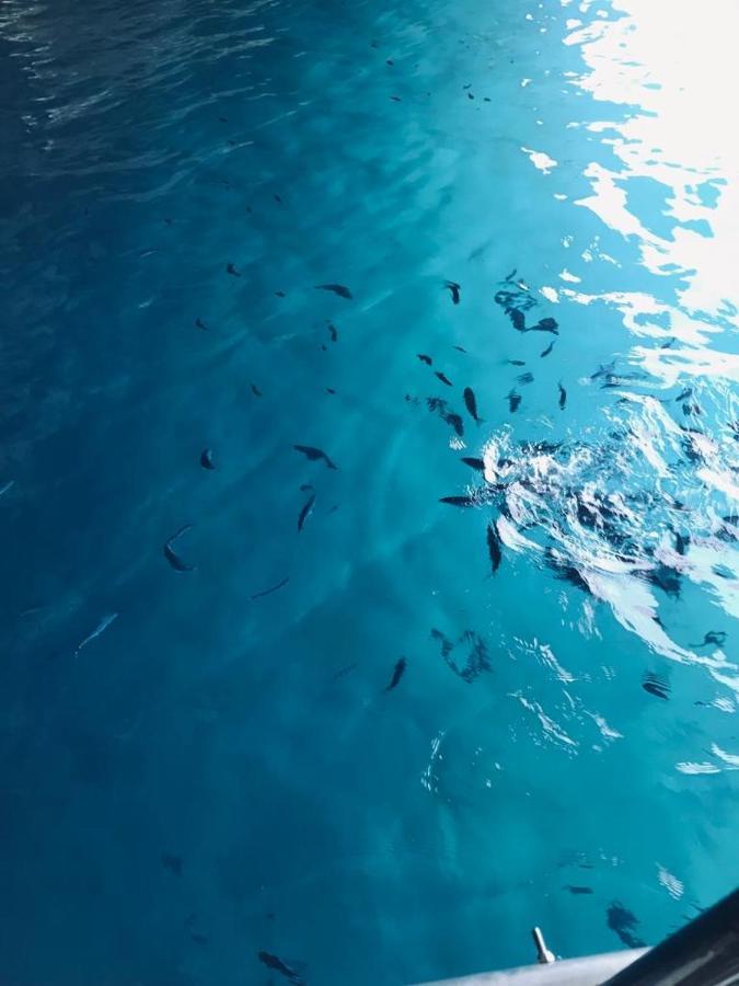 B&B Calabria Mare Falerna Bagian luar foto
