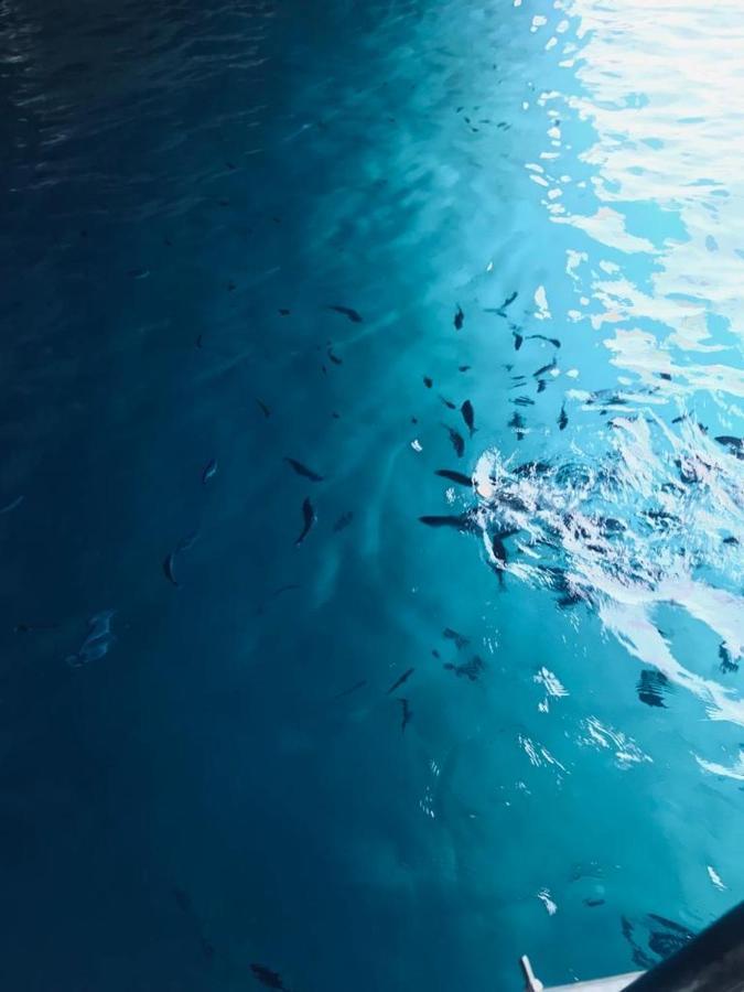 B&B Calabria Mare Falerna Bagian luar foto